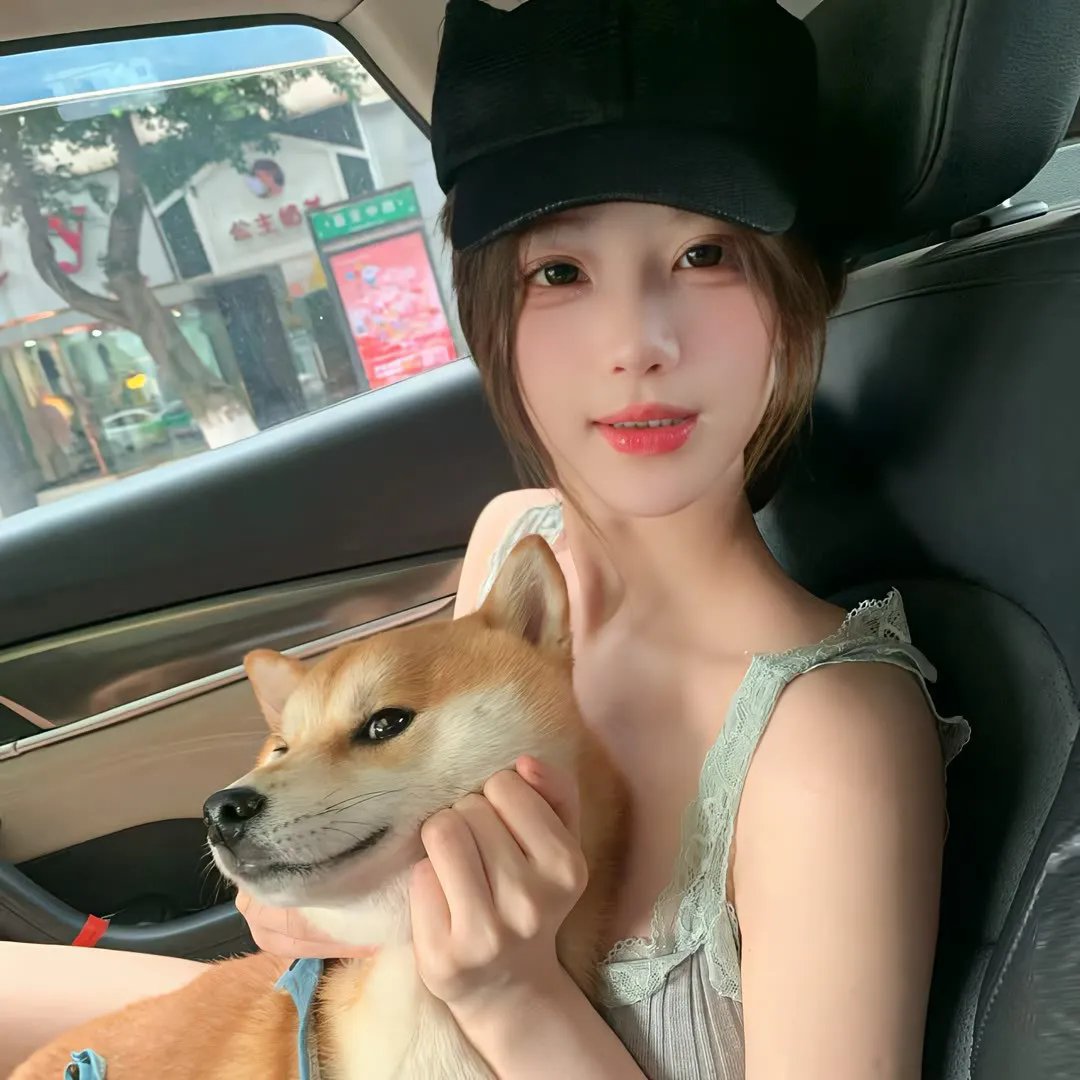彩岛人生